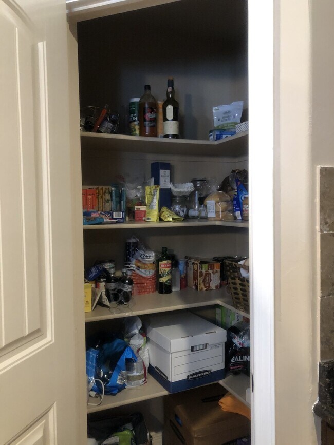 Building Photo - 3132 Tunnel Point Way