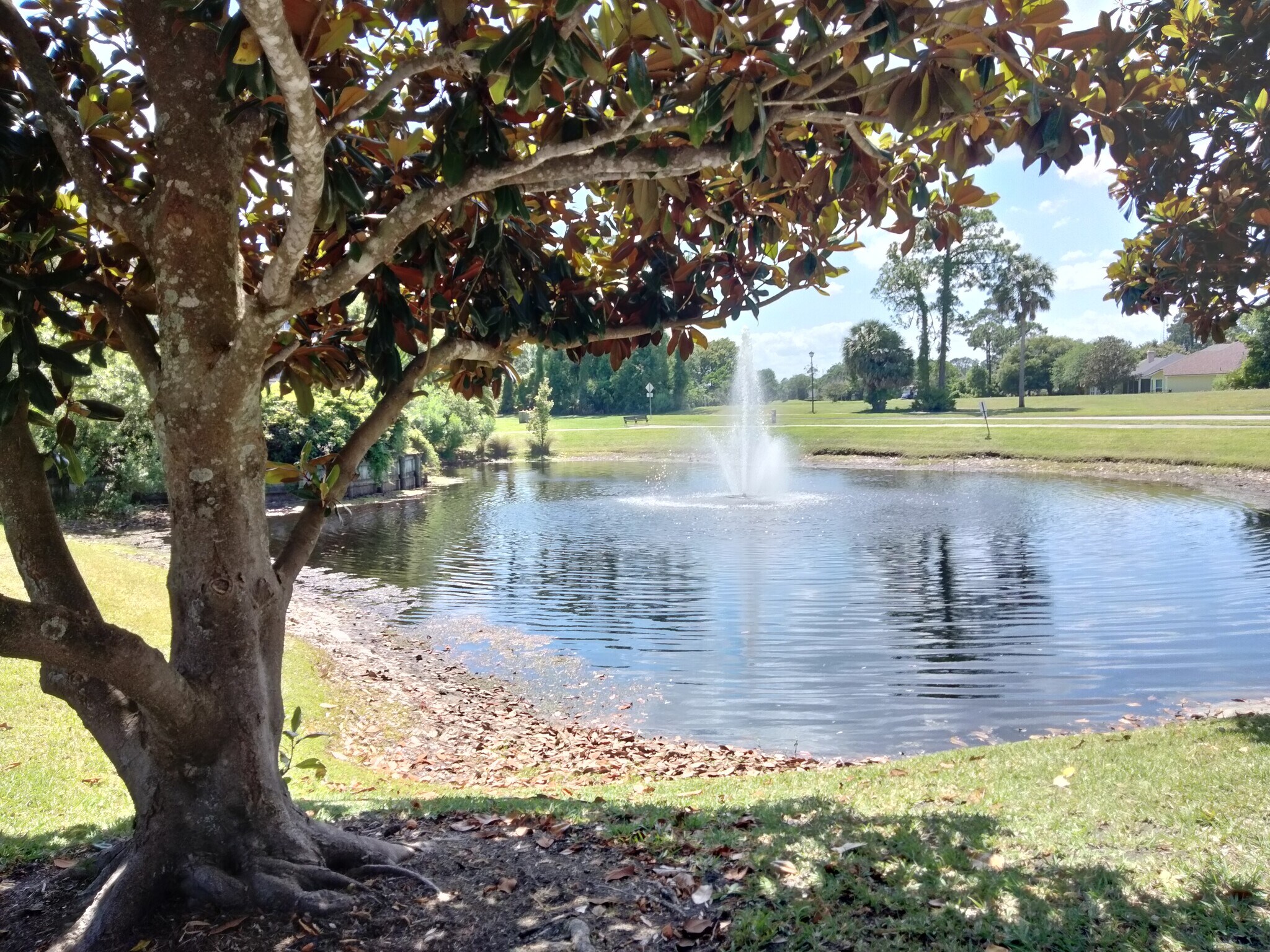 Building Photo - 520 Florida Club Blvd