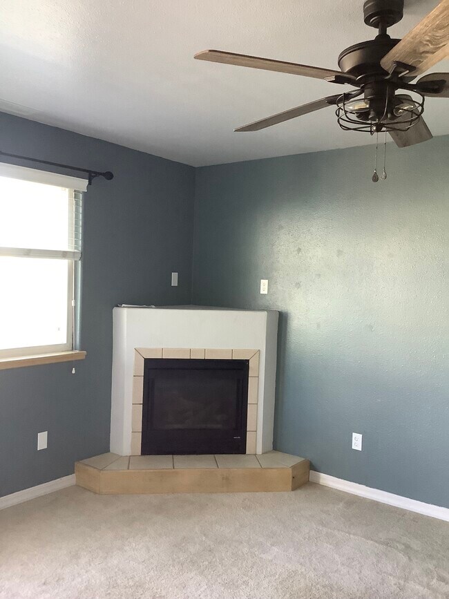 Gas fireplace - 262 Harvest Dr