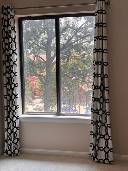 View from Second Bedroom - 2807 Lee Oaks Ct