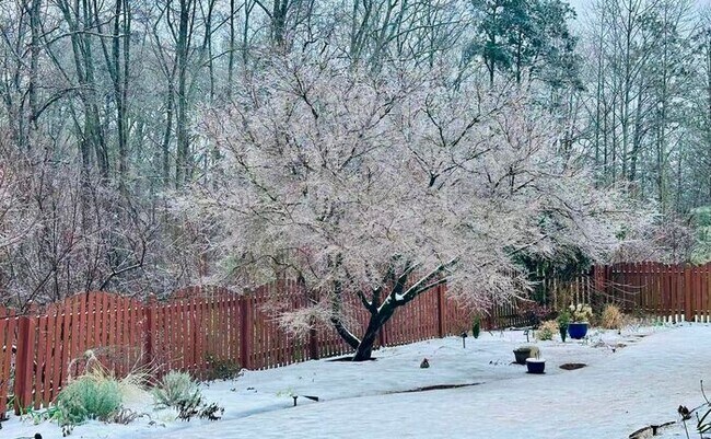 Building Photo - 12872 Waterside Dr