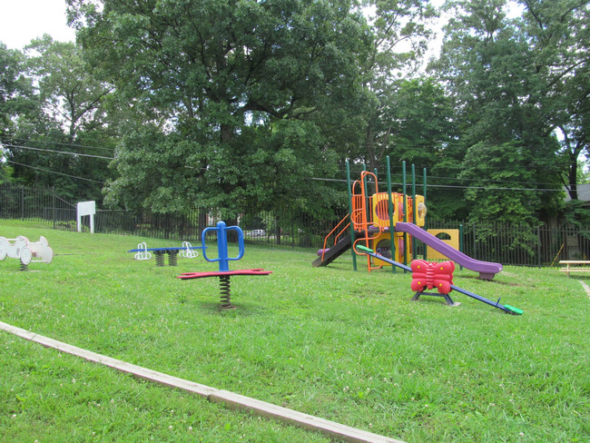 Big Playground Area - Gardens at Knoxwood