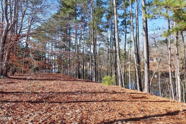 Building Photo - 258 Palm Dr