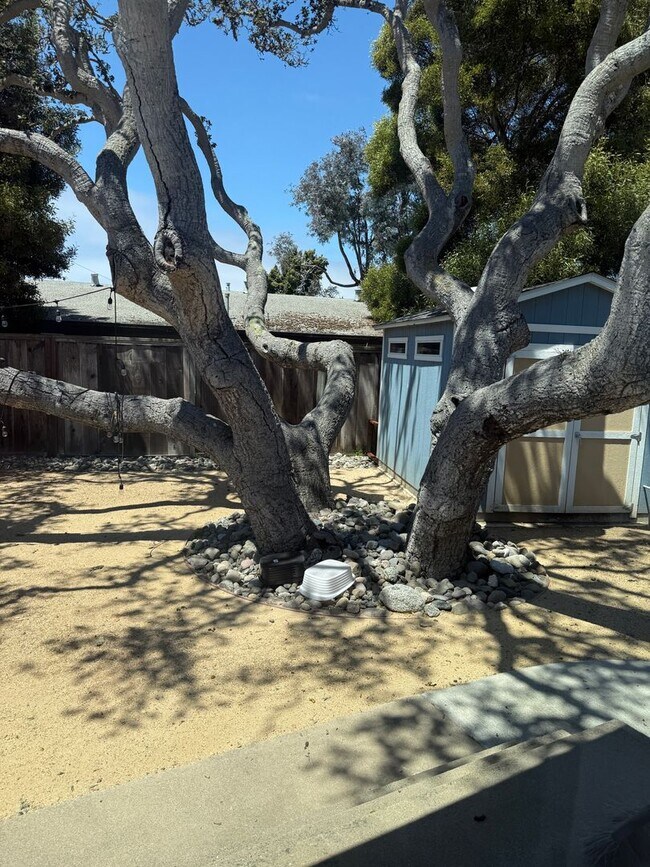 Building Photo - Charming 3 Bedroom, 2 Bathroom Home in Quiet Seaside Cul-de-sac