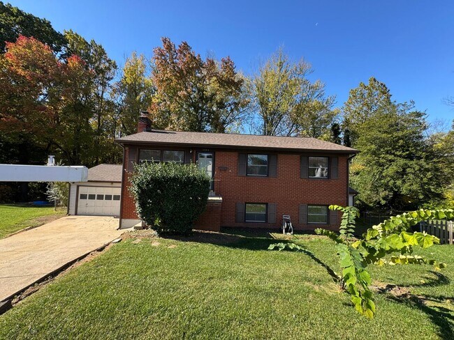 Building Photo - 2 bed 1 bath lower level of the house.lower level