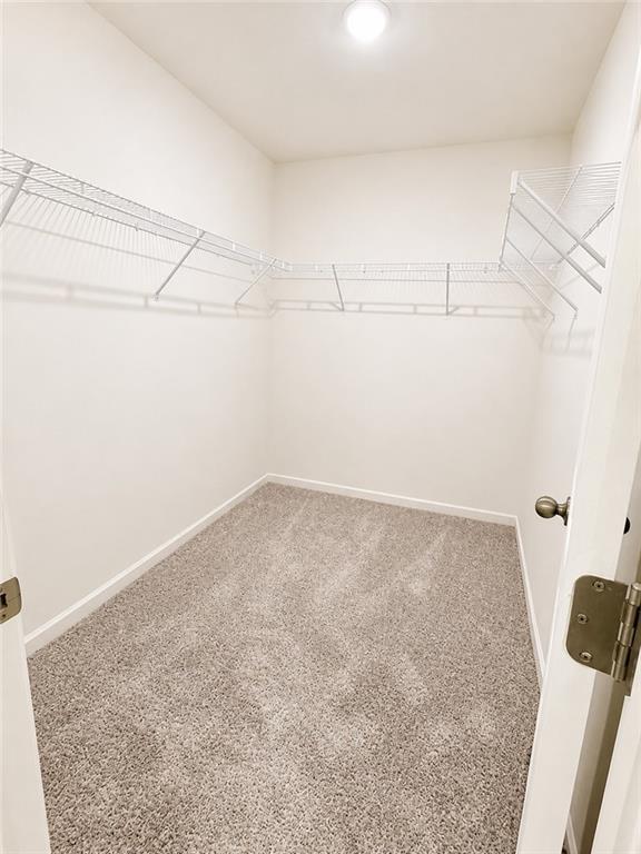 Building Photo - 64 Padley Dr