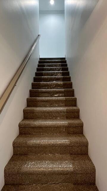 Building Photo - 1913 Cypress Ln