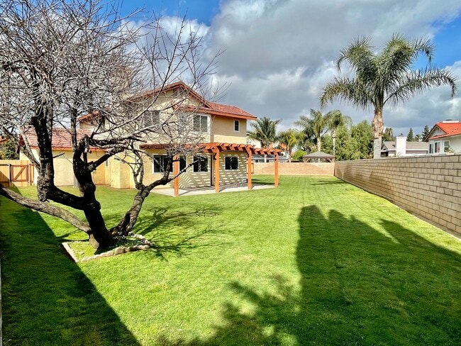 Backyard - 2823 Bragg St