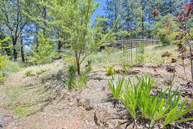 Building Photo - 16832 Alice Way