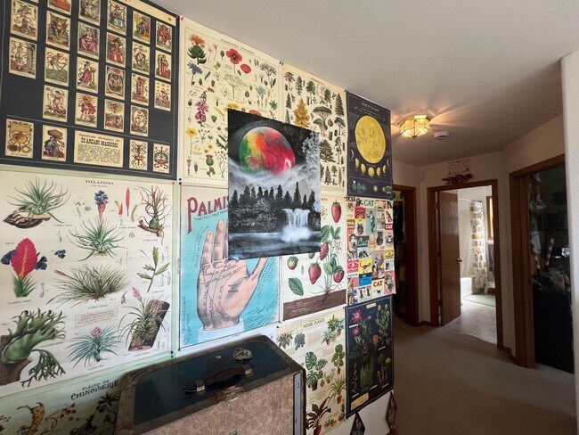 Building Photo - 3 Bed 1.5 half bath House Close to WWU and...