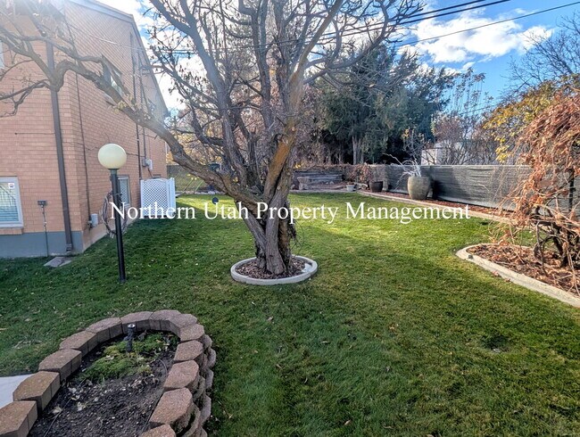 Building Photo - 1 Bed 1 Bath Lower Unit