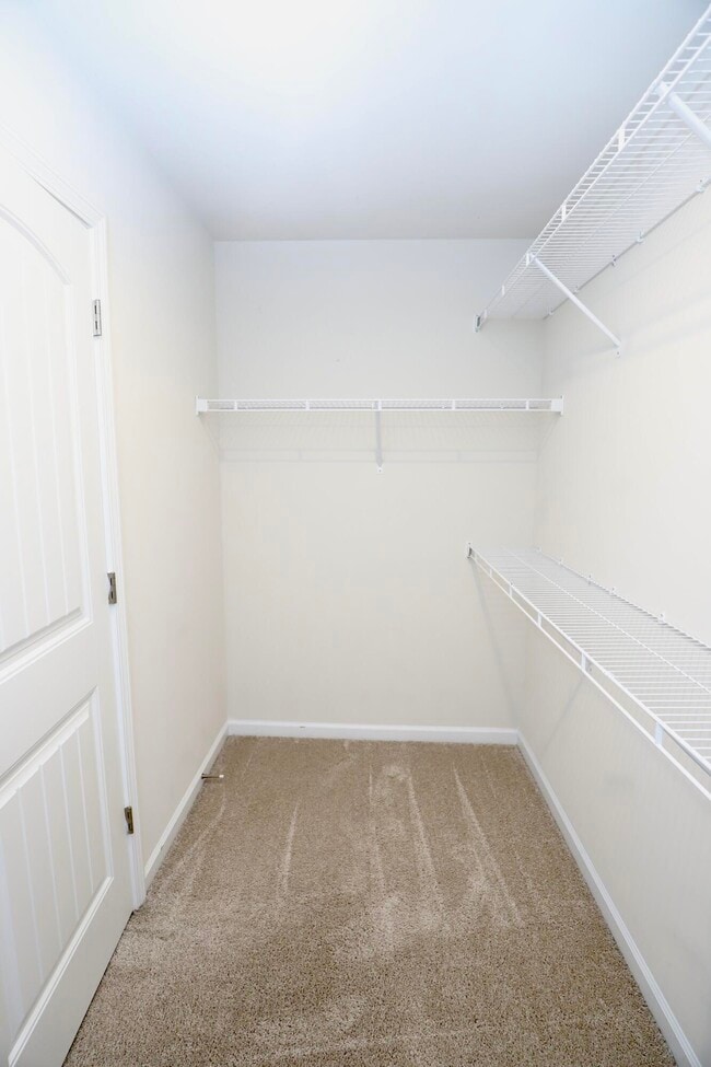 Building Photo - 115 Whitetail Cir