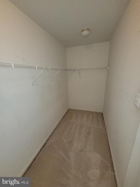 Building Photo - 4008 Spirea Ct