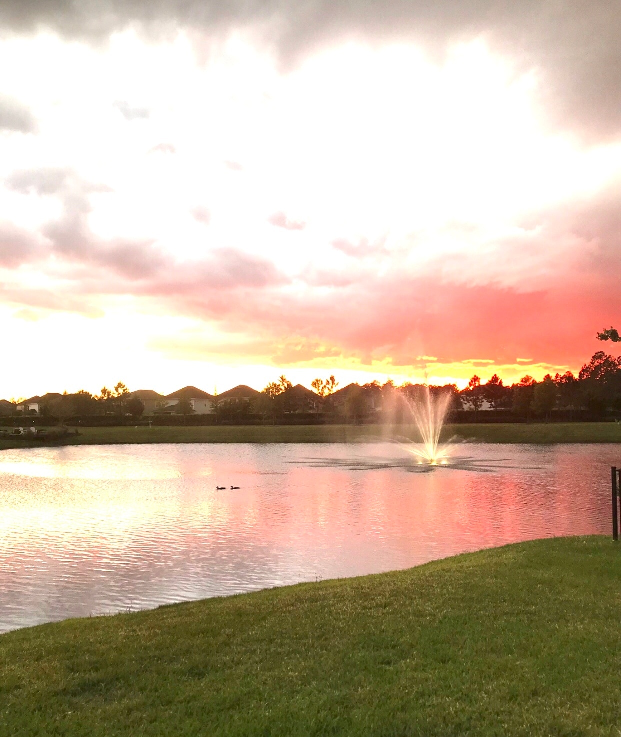 BACKYARD SUNSETS - 250 Convex Ln
