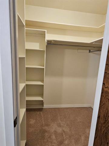 Building Photo - 3921 Whiterock Trail