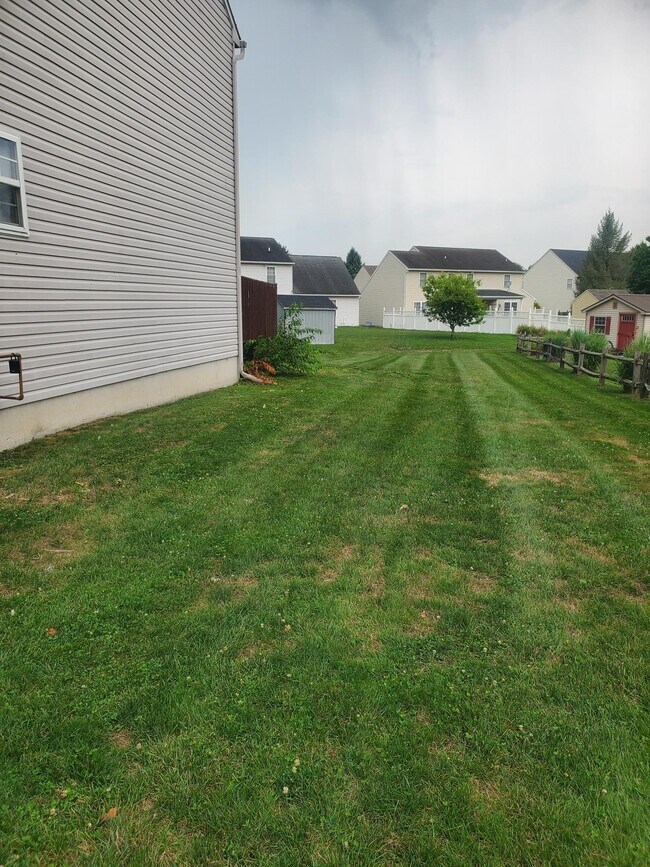 Building Photo - 667 Walnut Tree Dr