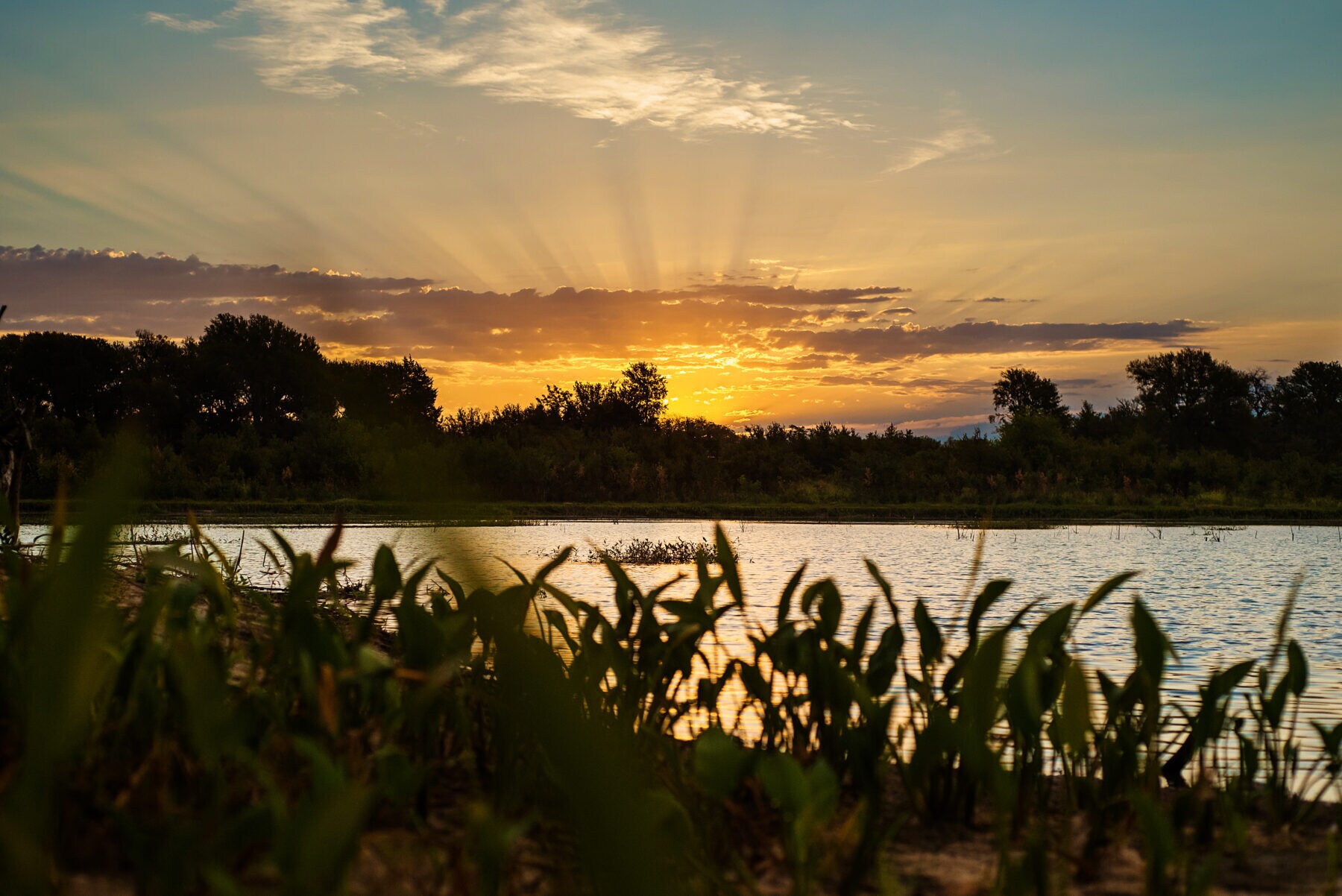 Building Photo - 3320 Eddington Dr