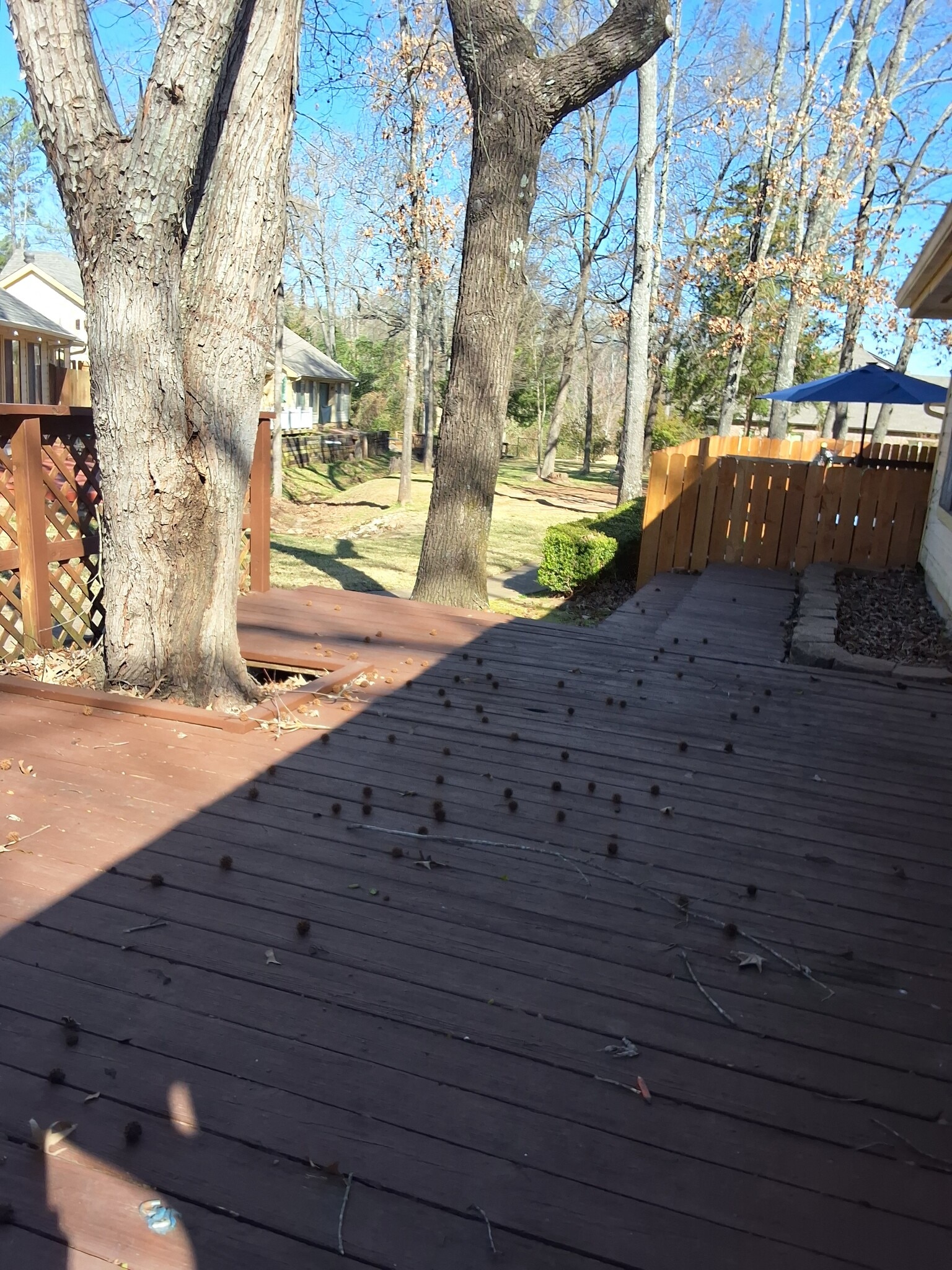 Back patio - 5748 Mill Creek Dr