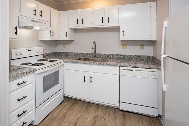 Building Photo - Beautiful and Spacious!  Freshly Renovated...