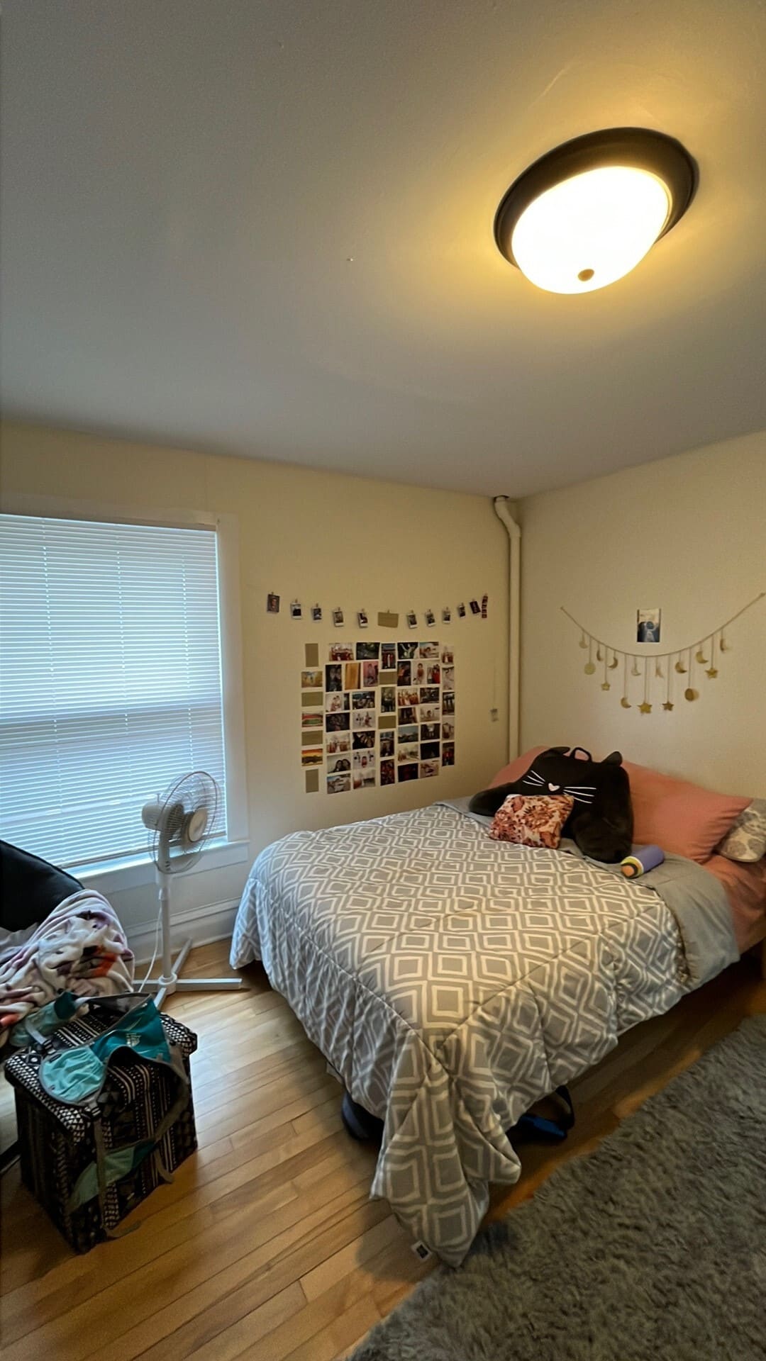 Building Photo - 315 N Blair St