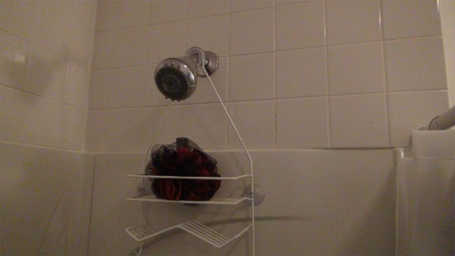 Building Photo - 3639 Glenmore Ave