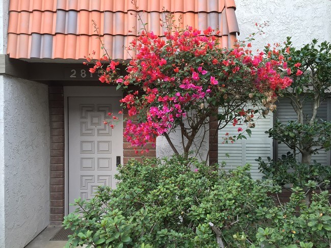 Building Photo - 28159 Ridgecove Ct S