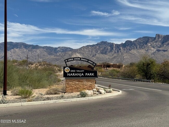 Building Photo - 11096 N Pusch Ridge View Pl