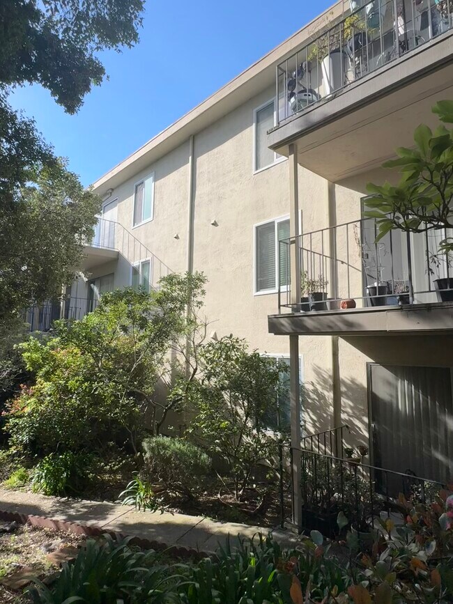 Private Courtyard View - 1725 Oxford St