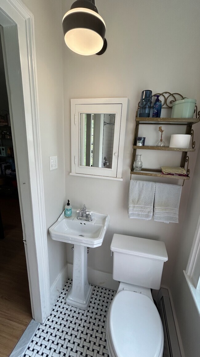 Downstairs Bathroom - 613-2 Chapel St