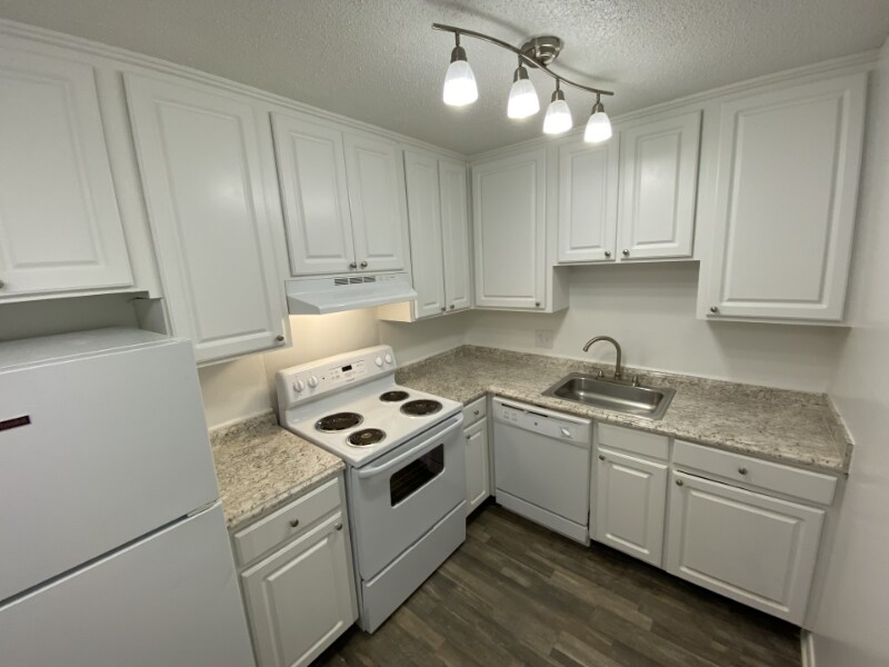 Building Photo - 1005 Hickory Hill Ln