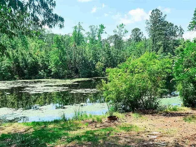 Building Photo - 303 Gator Lake Ct