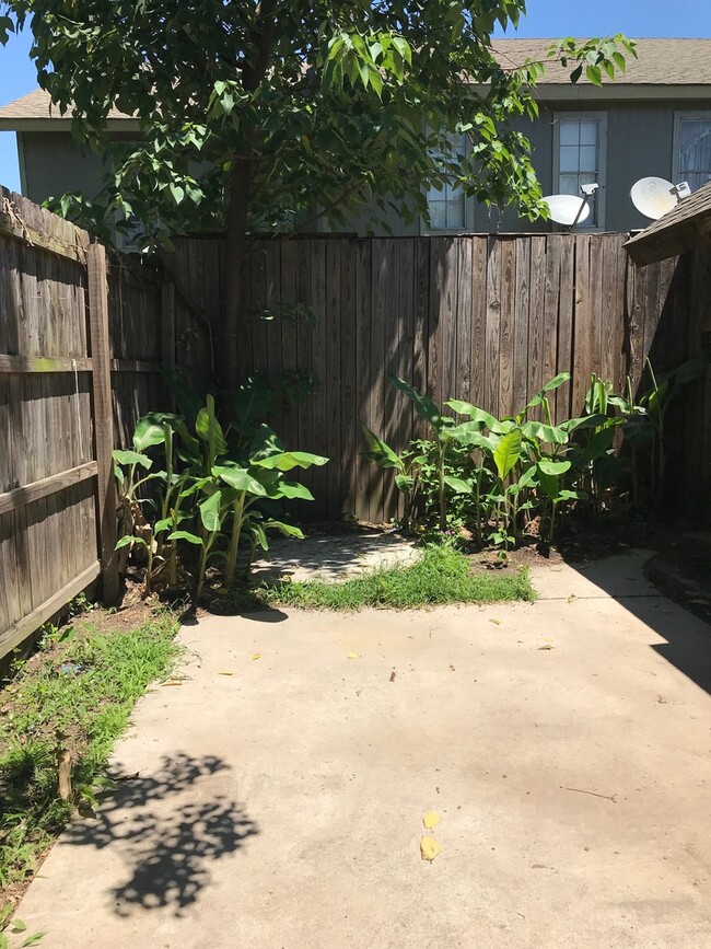 Building Photo - 1BR Cedar Duplex Studio with Private Fence...