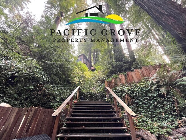 Building Photo - Cabin on Palo Colorado