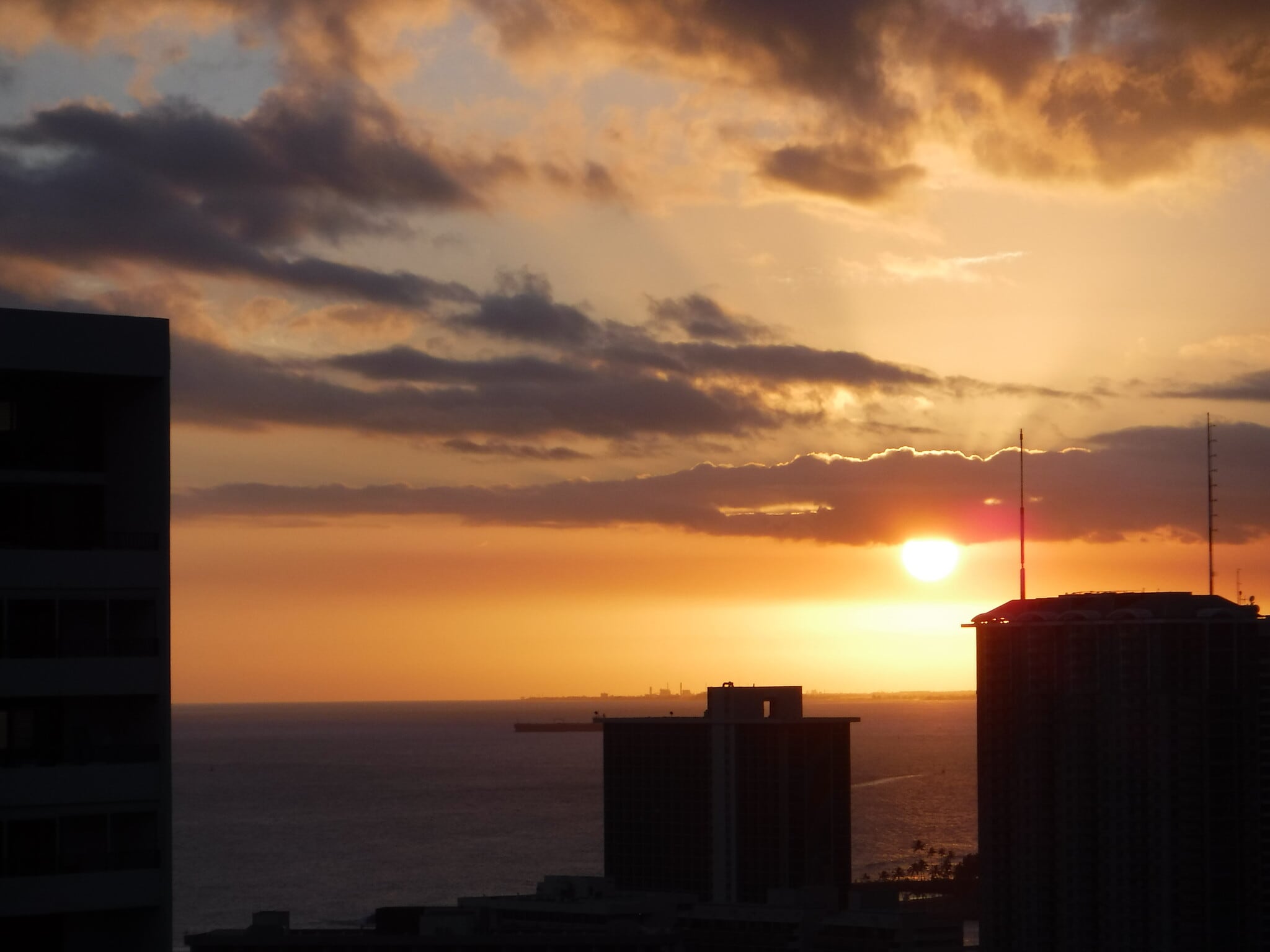 Building Photo - 445 Seaside Ave