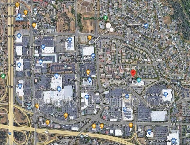 Building Photo - 1233 Bundy Ct