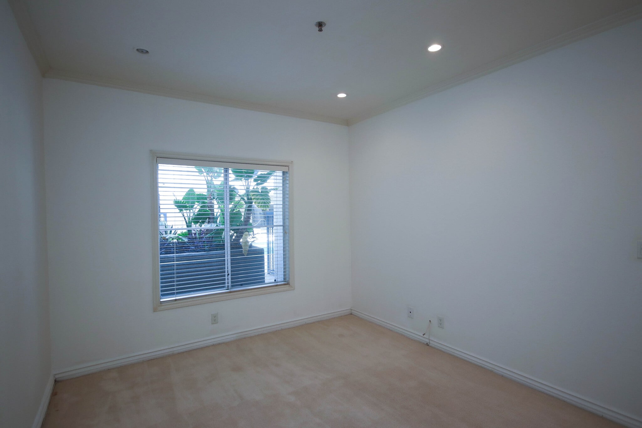 Building Photo - 300 N El Molino Ave