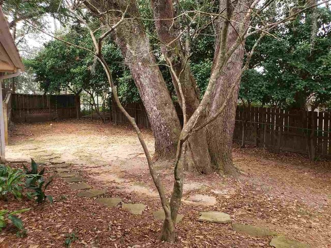 Building Photo - 2413 Tree Top Ct