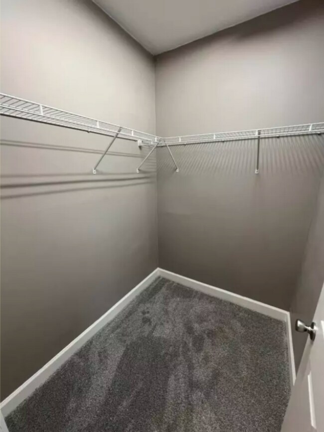 Building Photo - 4909 Sunnyside Ct