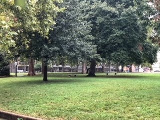 Building Photo - 2217 Reed St