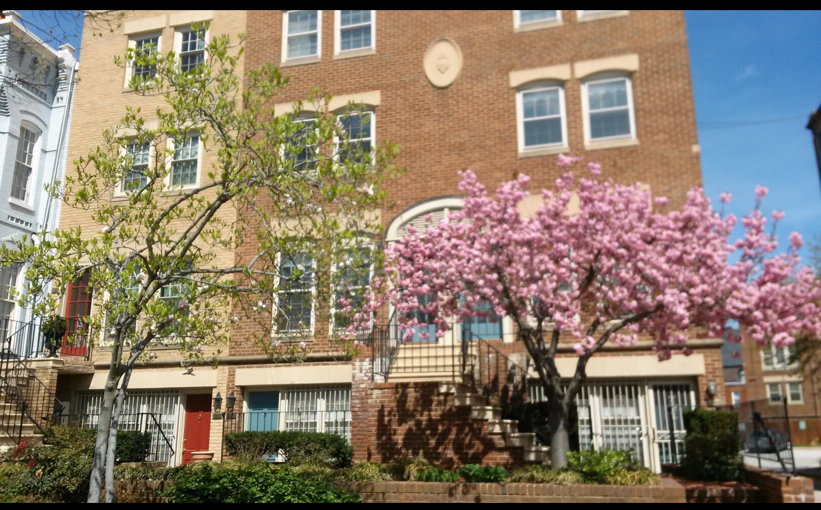Next to Senate Hart Building - 236 Maryland Ave NE