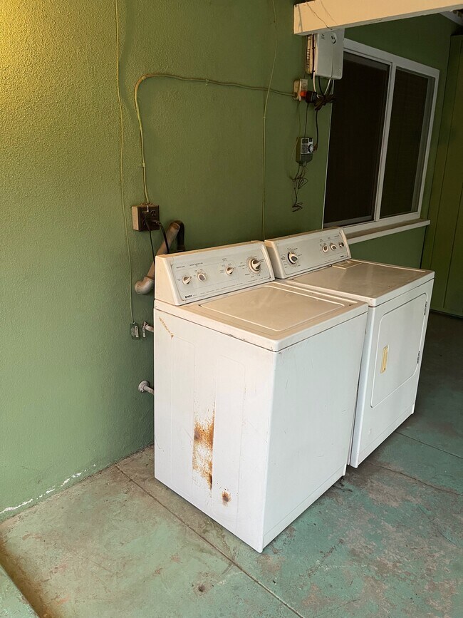 Building Photo - 313 Bond St