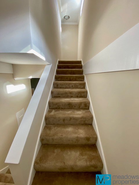 Building Photo - 209 Copper Springs Cir