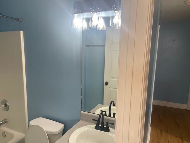 HALLWAY BATHROOM - 3139 Layla st