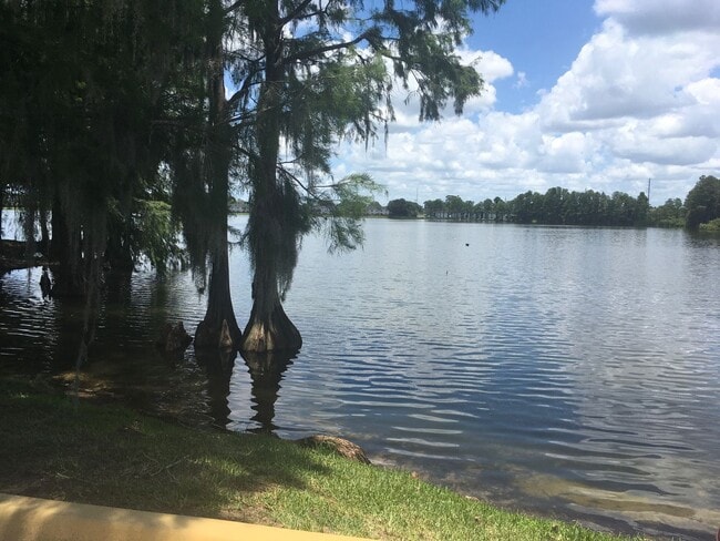 Building Photo - Central Orlando ground floor condo in gate...