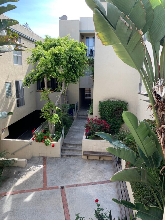 courtyard - 3325 Kelton Ave