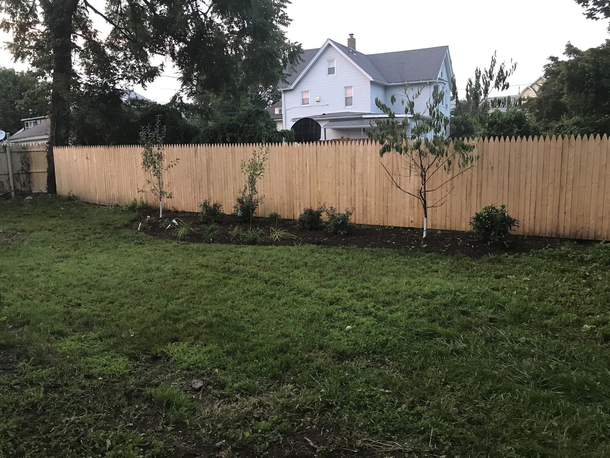 backyard - 305 Watson Ave