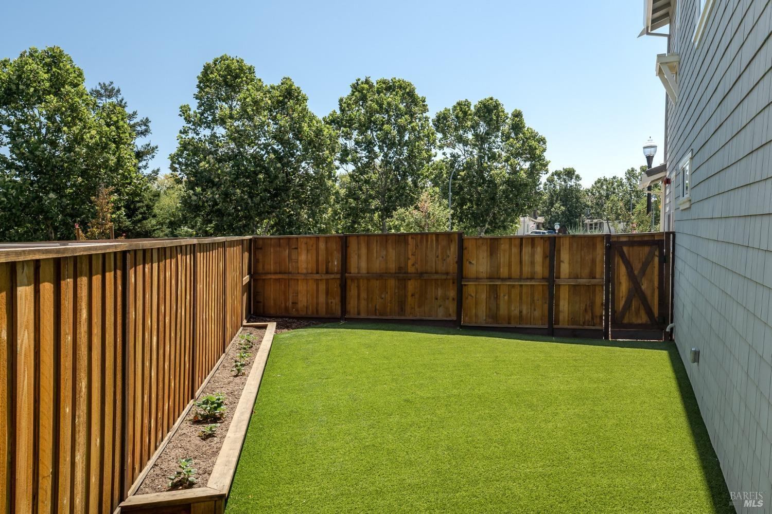 Side yard - 1429 Brody Bird Ln