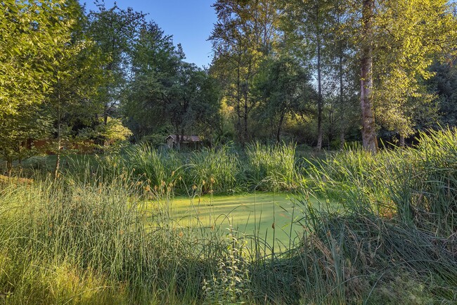 Building Photo - 4Bd/2.5Ba Bellevue House