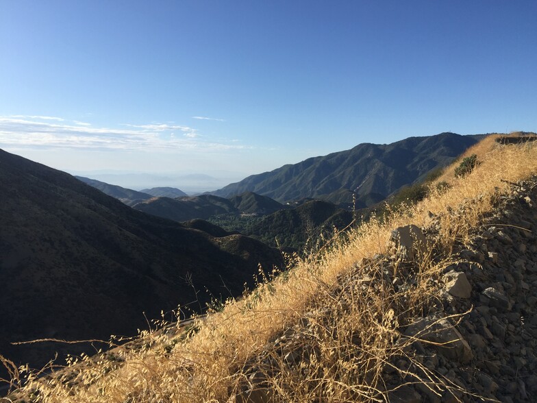 Building Photo - 13992 Irving Ln