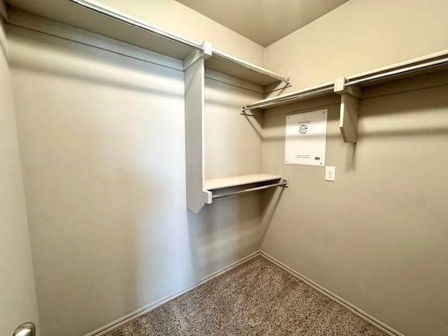 Building Photo - 3509 Slate River Dr